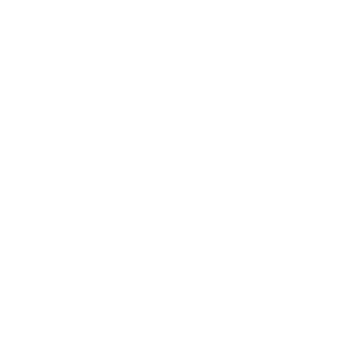 steam